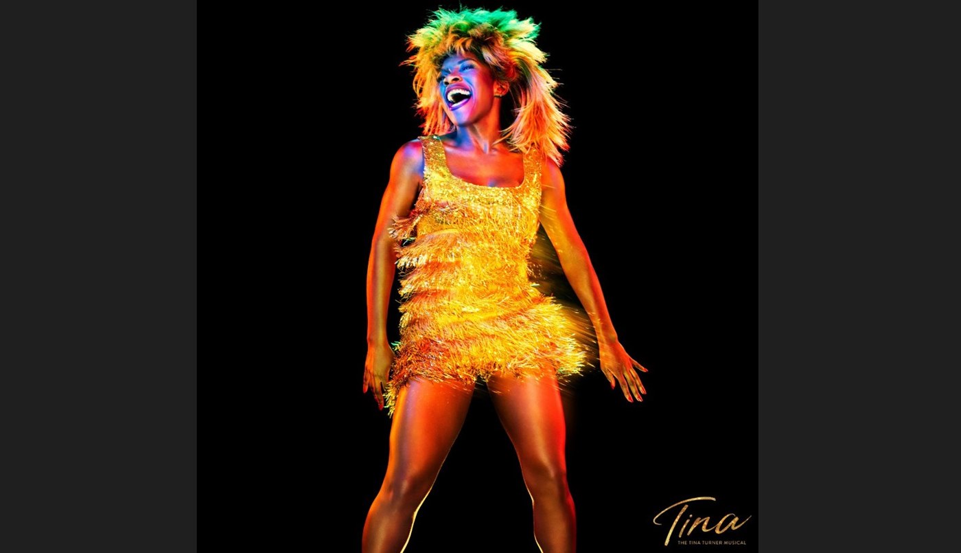 Tina Turner - In Memoriam